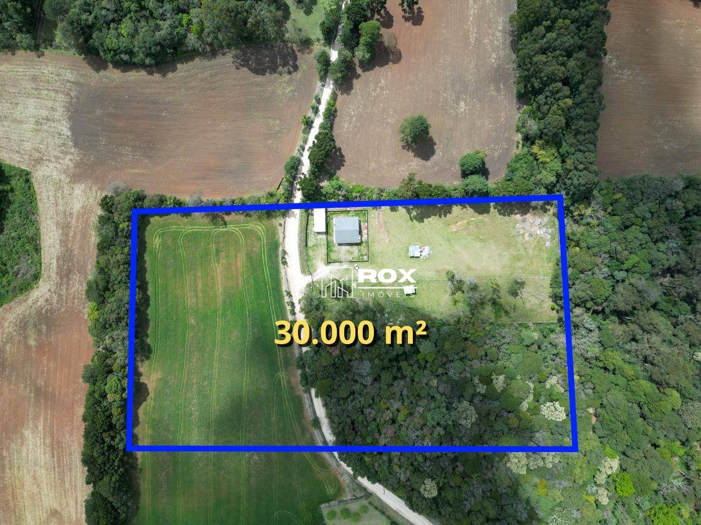 Terreno, 3 hectares - Foto 1