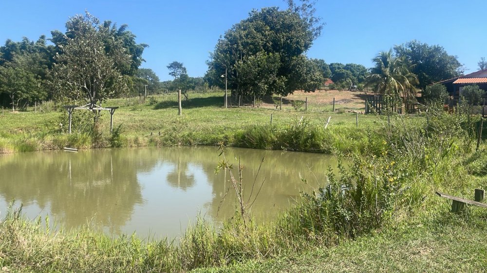 Fazenda à venda com 3 quartos, 45000m² - Foto 1