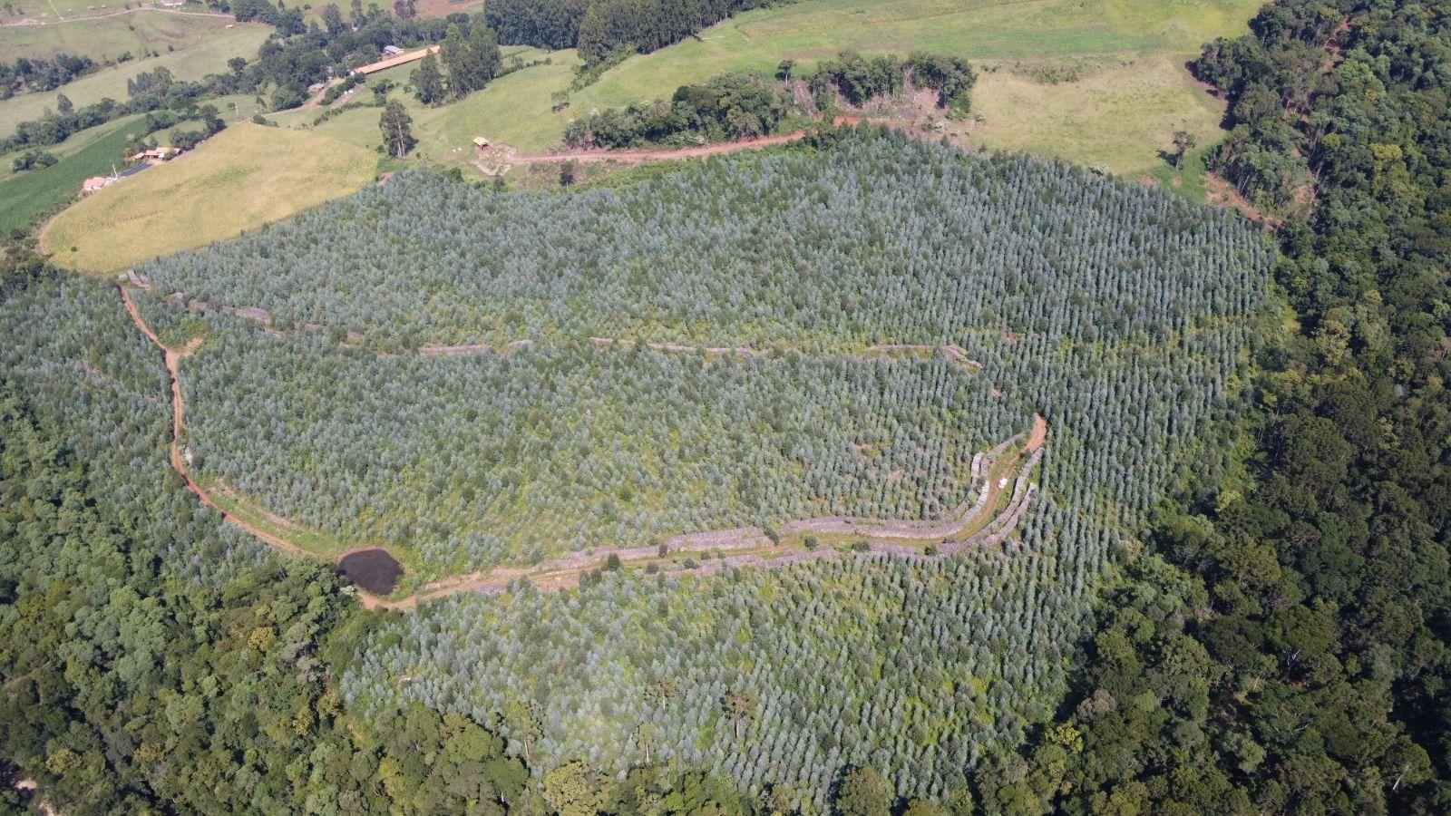 Terreno à venda, 170000m² - Foto 6