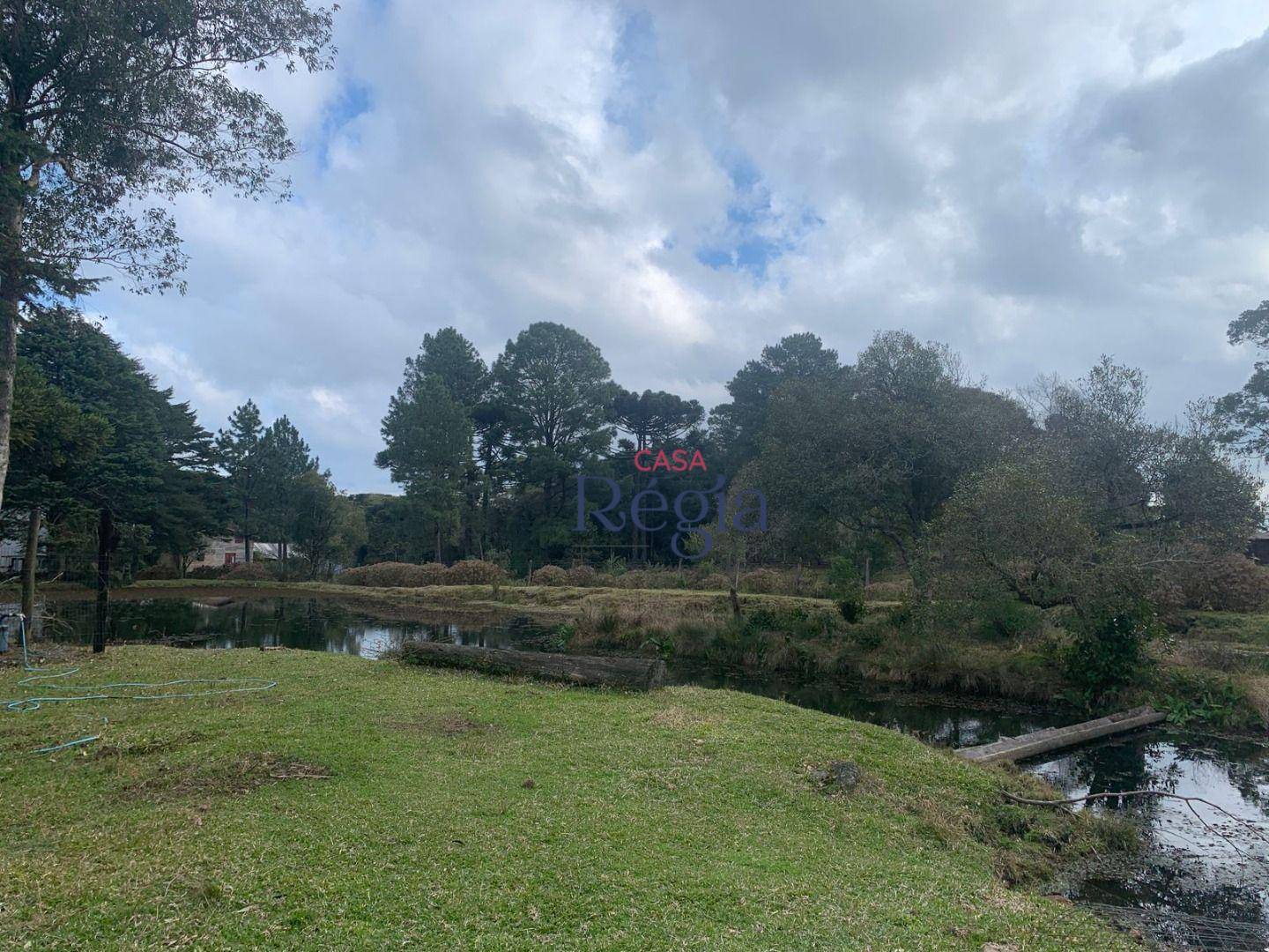 Terreno, 6609 m² - Foto 4