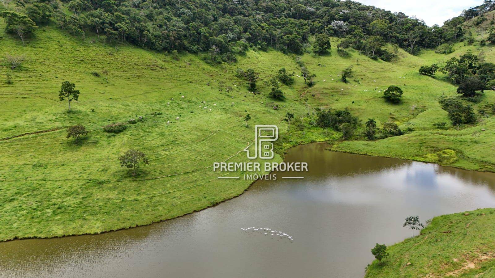 Fazenda à venda com 3 quartos, 250m² - Foto 27