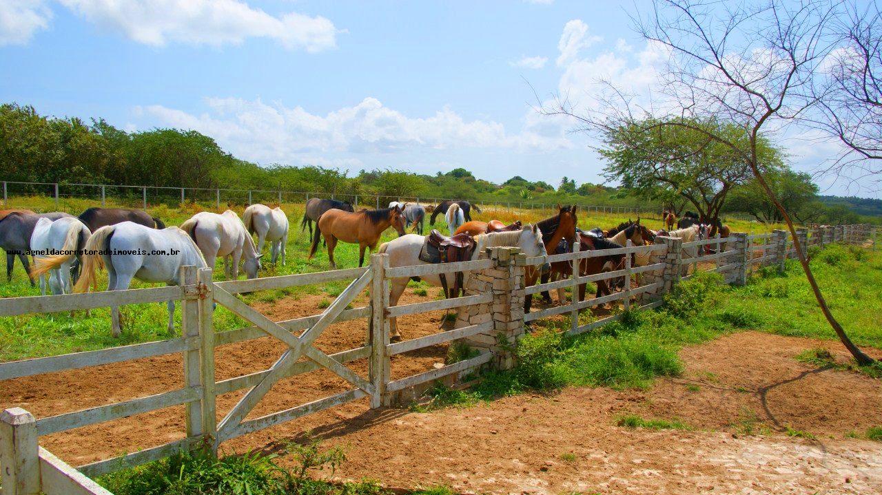 Casa de Condomínio à venda com 3 quartos, 230m² - Foto 6