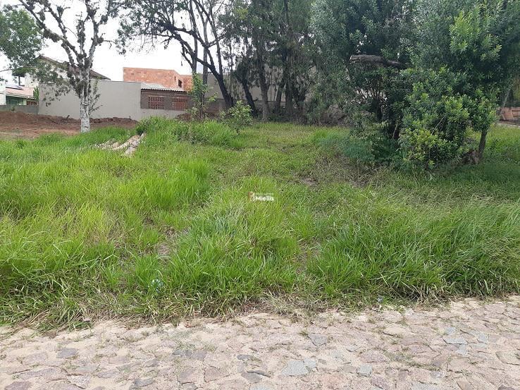 Terreno à venda, 301m² - Foto 2