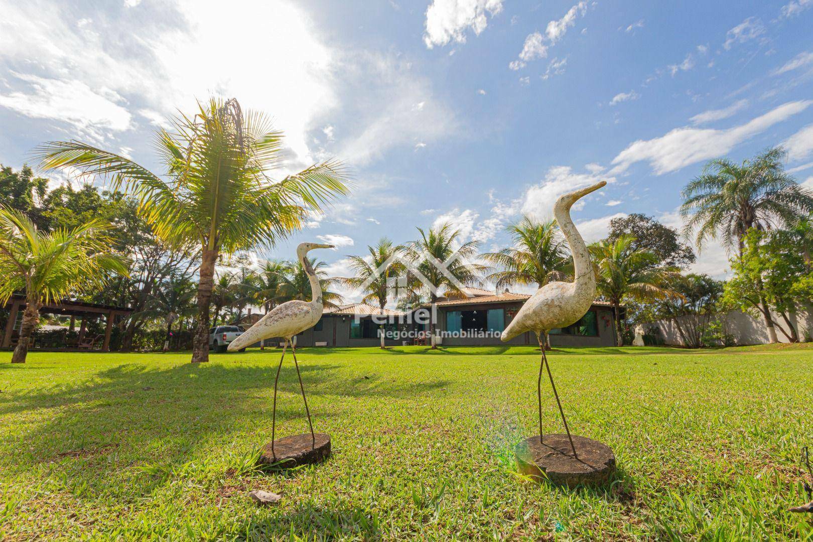 Chácara à venda com 5 quartos, 600m² - Foto 13