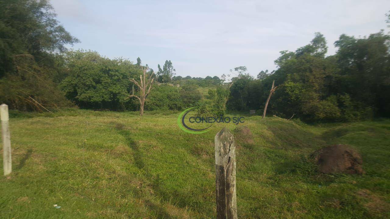 Terreno, 6 hectares - Foto 3