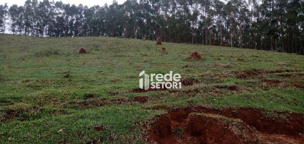 Fazenda à venda com 3 quartos, 1110000M2 - Foto 58