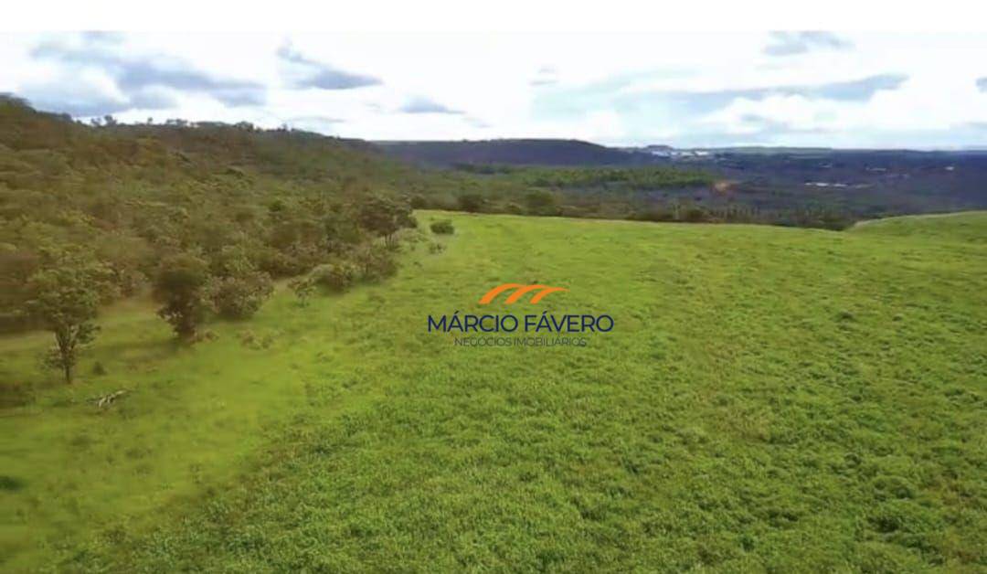 Fazenda-Sítio-Chácara, 980 hectares - Foto 8