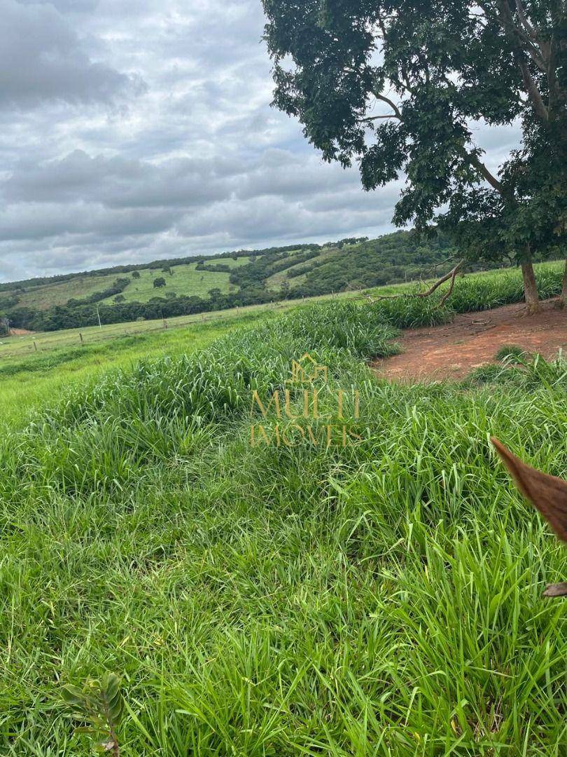 Fazenda à venda com 3 quartos, 10360000M2 - Foto 10