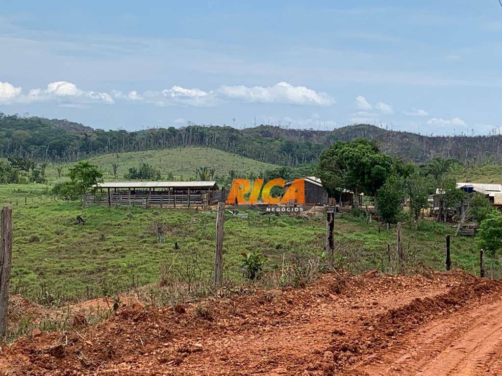 Fazenda-Sítio-Chácara, 484 hectares - Foto 4