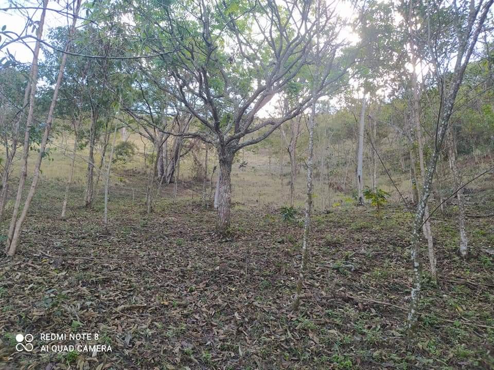 Terreno, 6 hectares - Foto 15