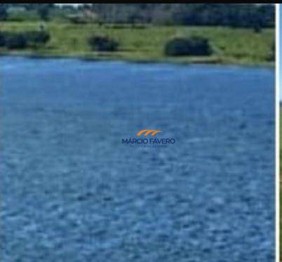 Fazenda, 315 hectares - Foto 4