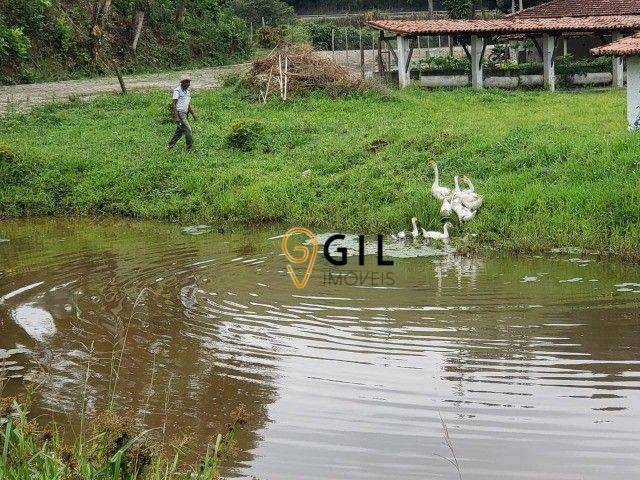 Chácara à venda com 4 quartos, 500m² - Foto 9