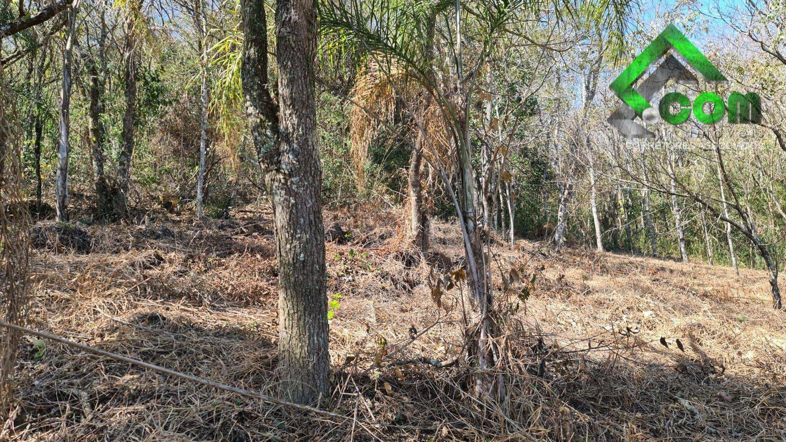 Loteamento e Condomínio à venda, 3600M2 - Foto 30