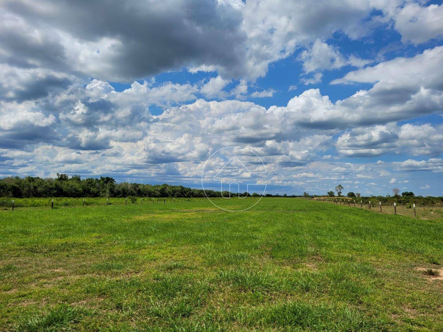 Fazenda à venda, 61350000M2 - Foto 11