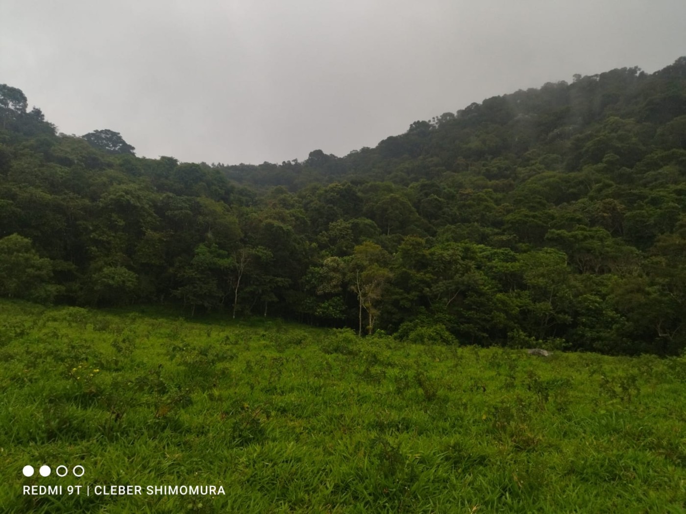 Terreno, 24 hectares - Foto 3