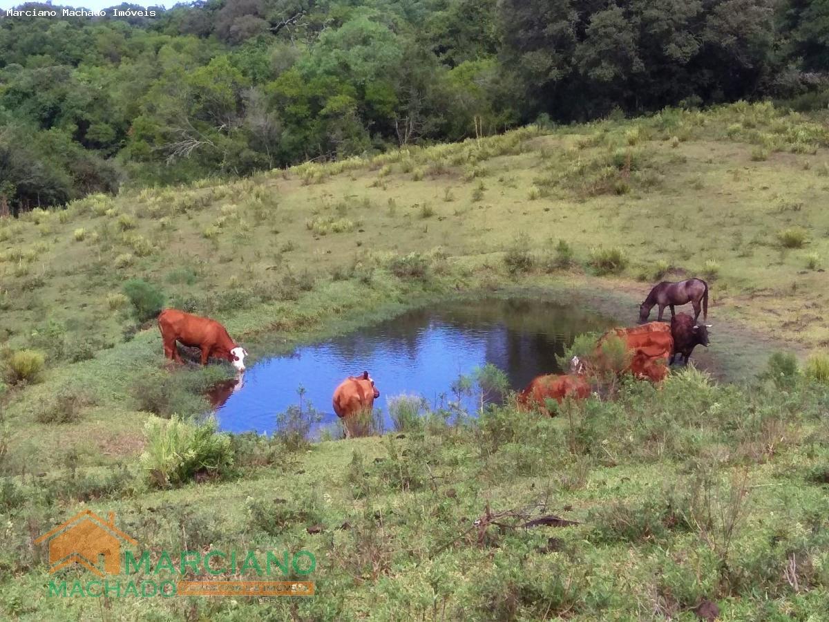 Loteamento e Condomínio à venda, 79m² - Foto 5