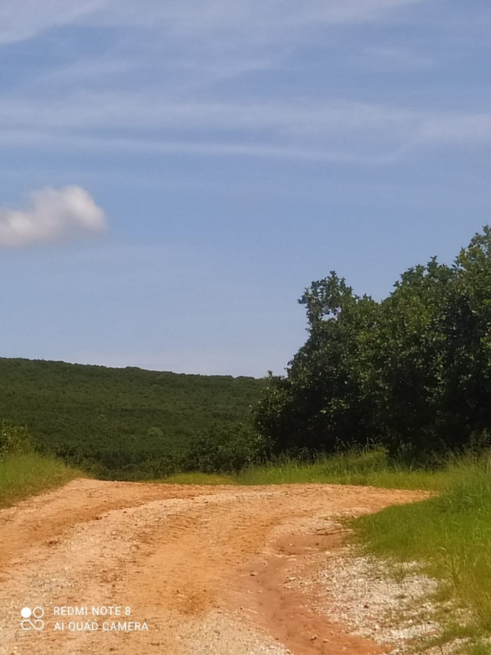 Fazenda à venda, 120m² - Foto 2