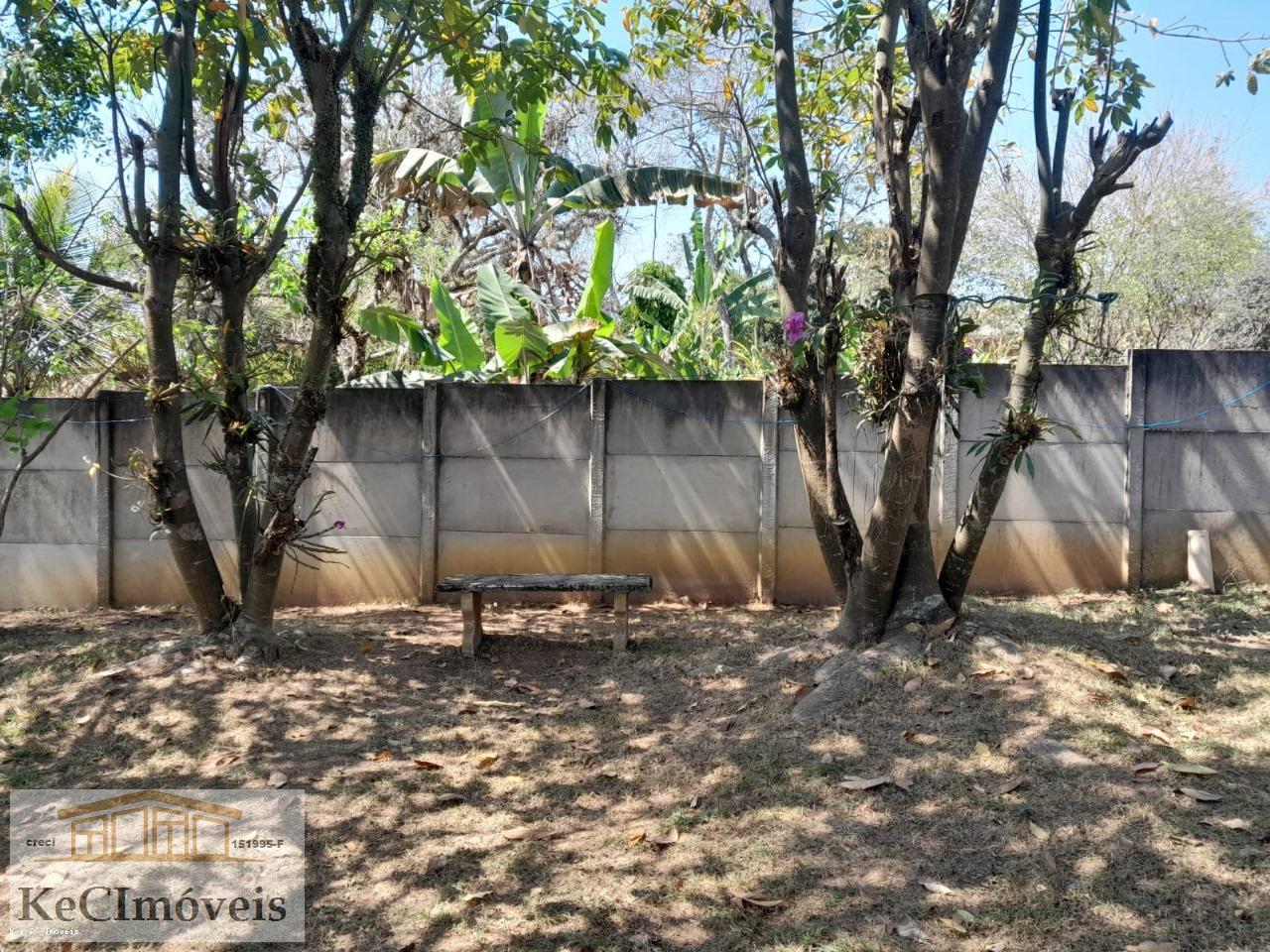 Fazenda à venda com 2 quartos, 1000m² - Foto 10