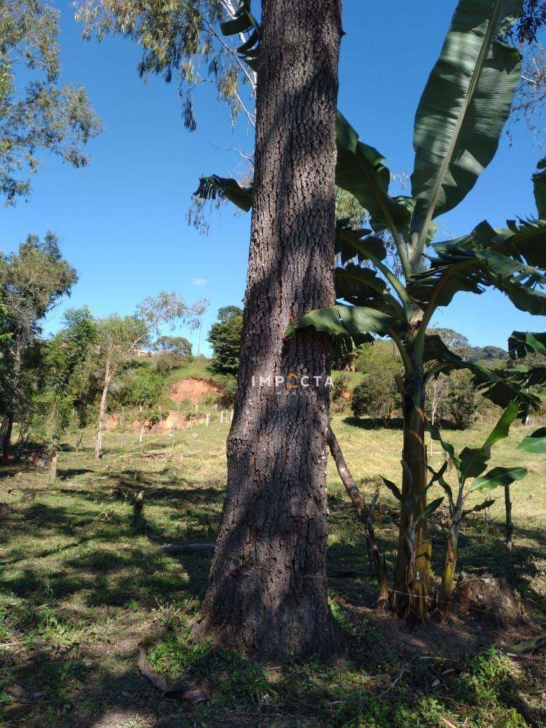 Terreno à venda, 4500M2 - Foto 5