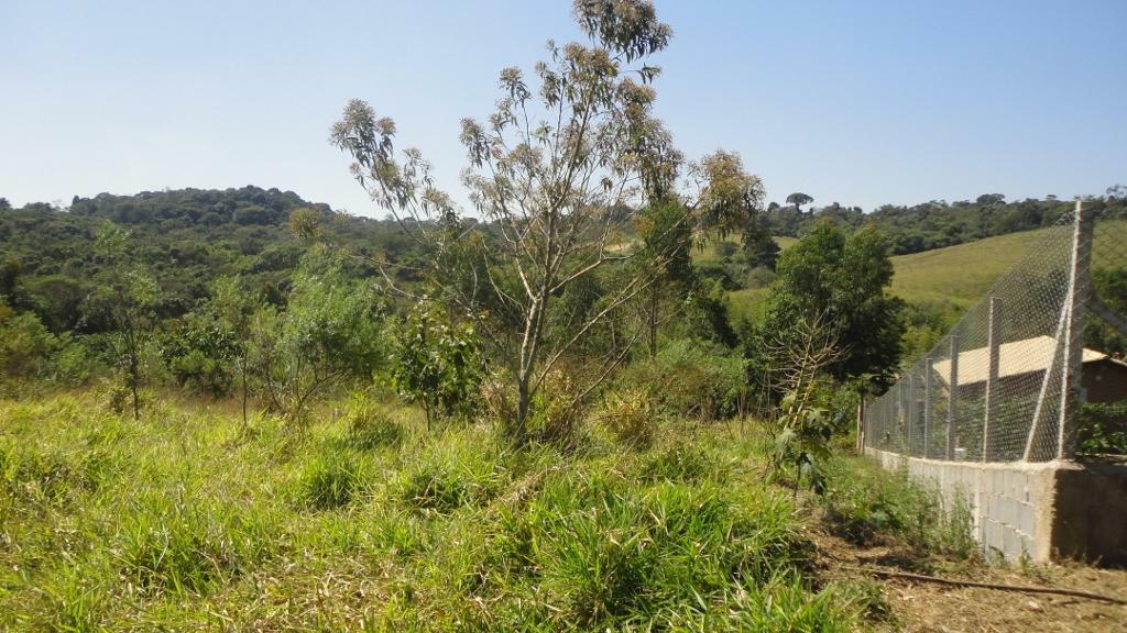 Loteamento e Condomínio à venda, 1000m² - Foto 8