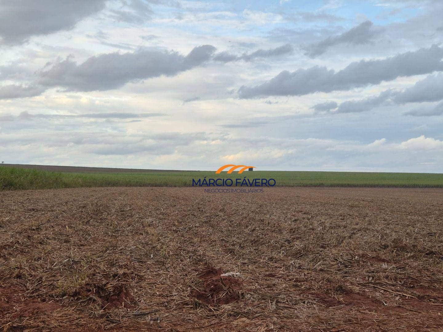 Fazenda, 702 hectares - Foto 5