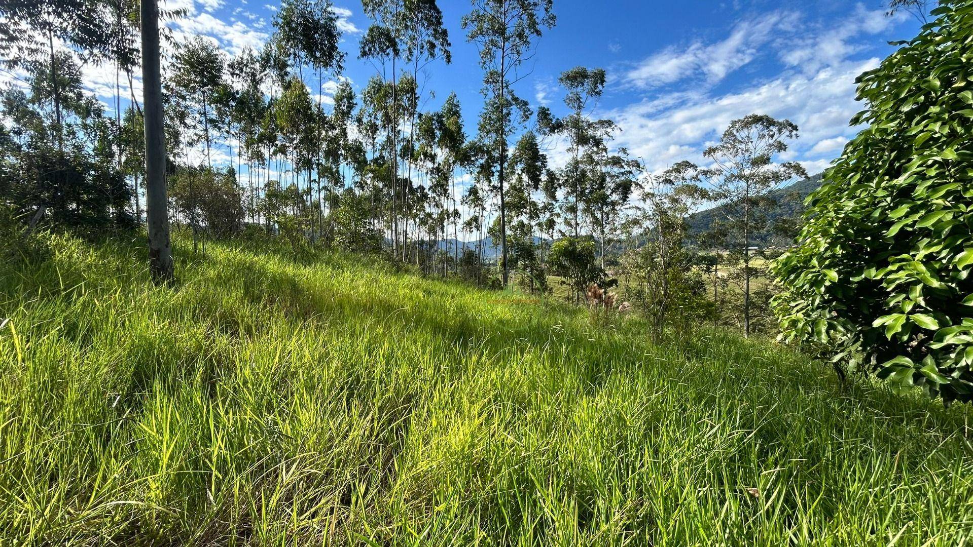 Sítio, 3 hectares - Foto 43