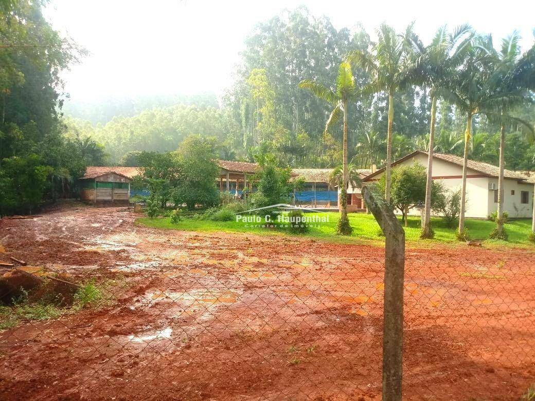 Sítio à venda com 4 quartos, 15000M2 - Foto 13