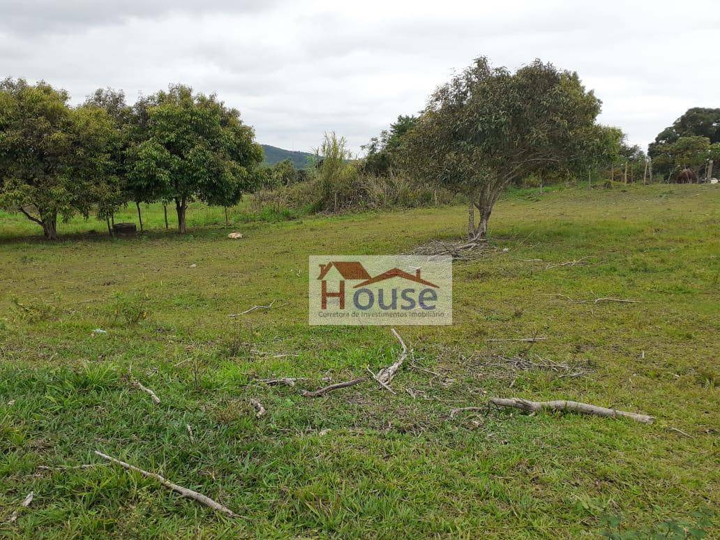 Terreno, 8000 m² - Foto 12