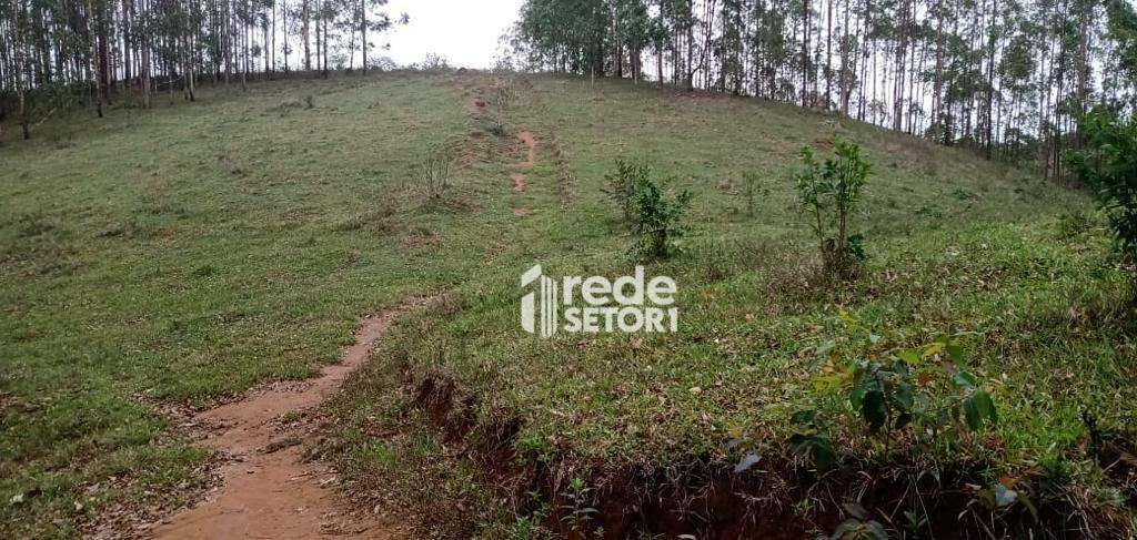 Fazenda à venda com 3 quartos, 1110000M2 - Foto 5