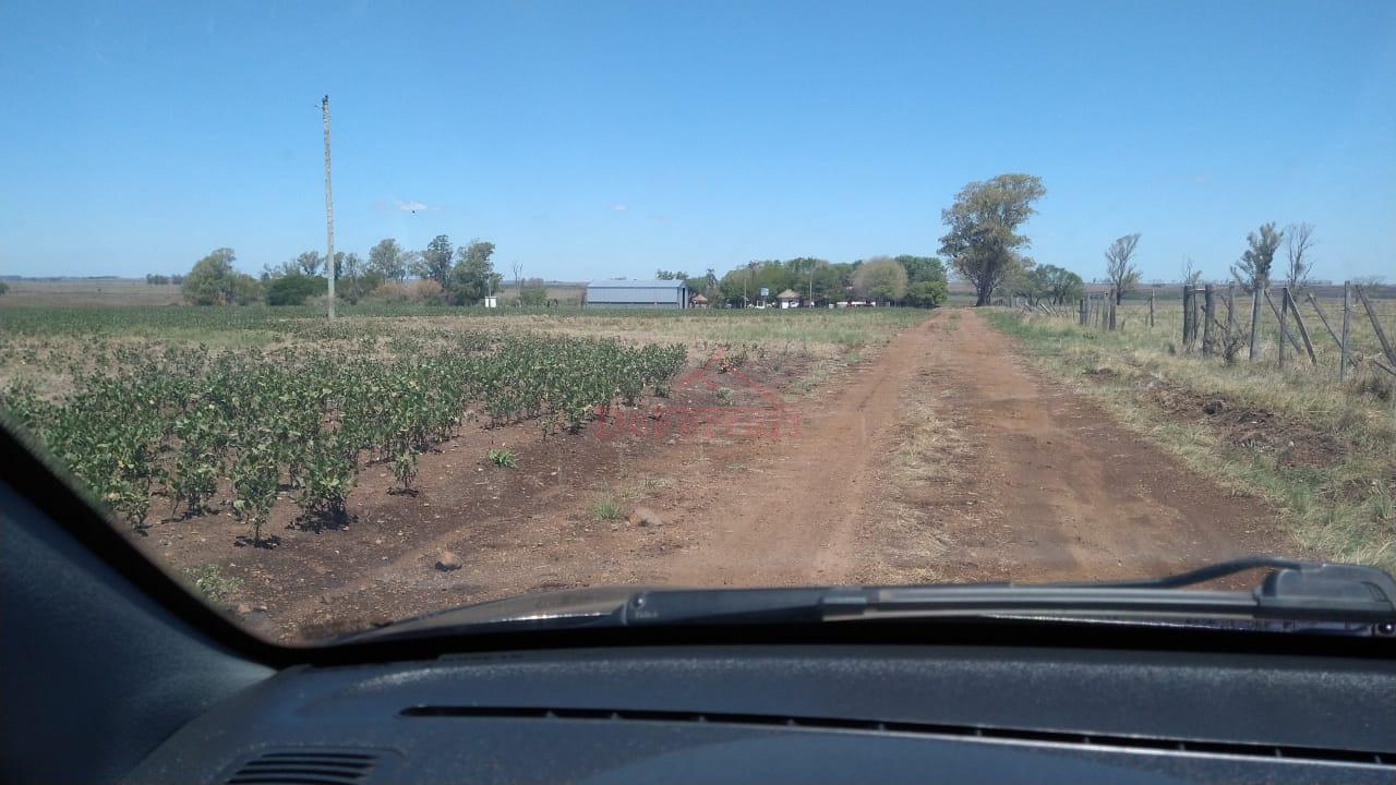 Fazenda-Sítio-Chácara - Foto 4