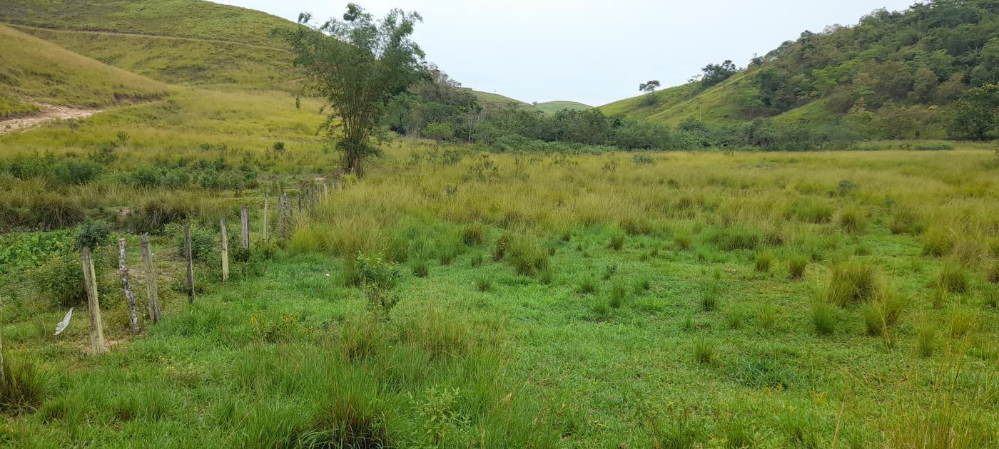 Terreno à venda, 12200m² - Foto 2