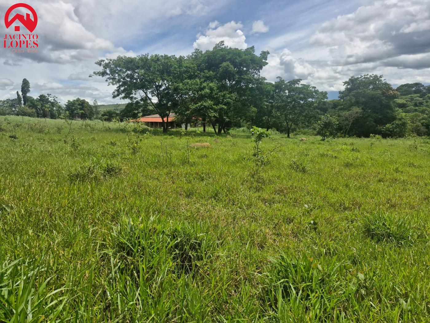 Fazenda à venda com 2 quartos, 120m² - Foto 41