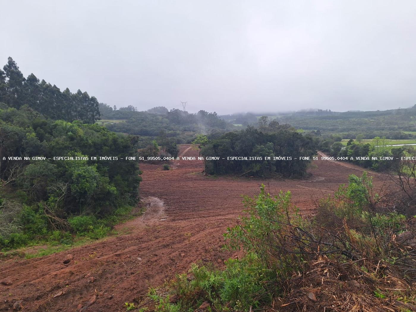 Fazenda à venda com 2 quartos, 141000m² - Foto 30