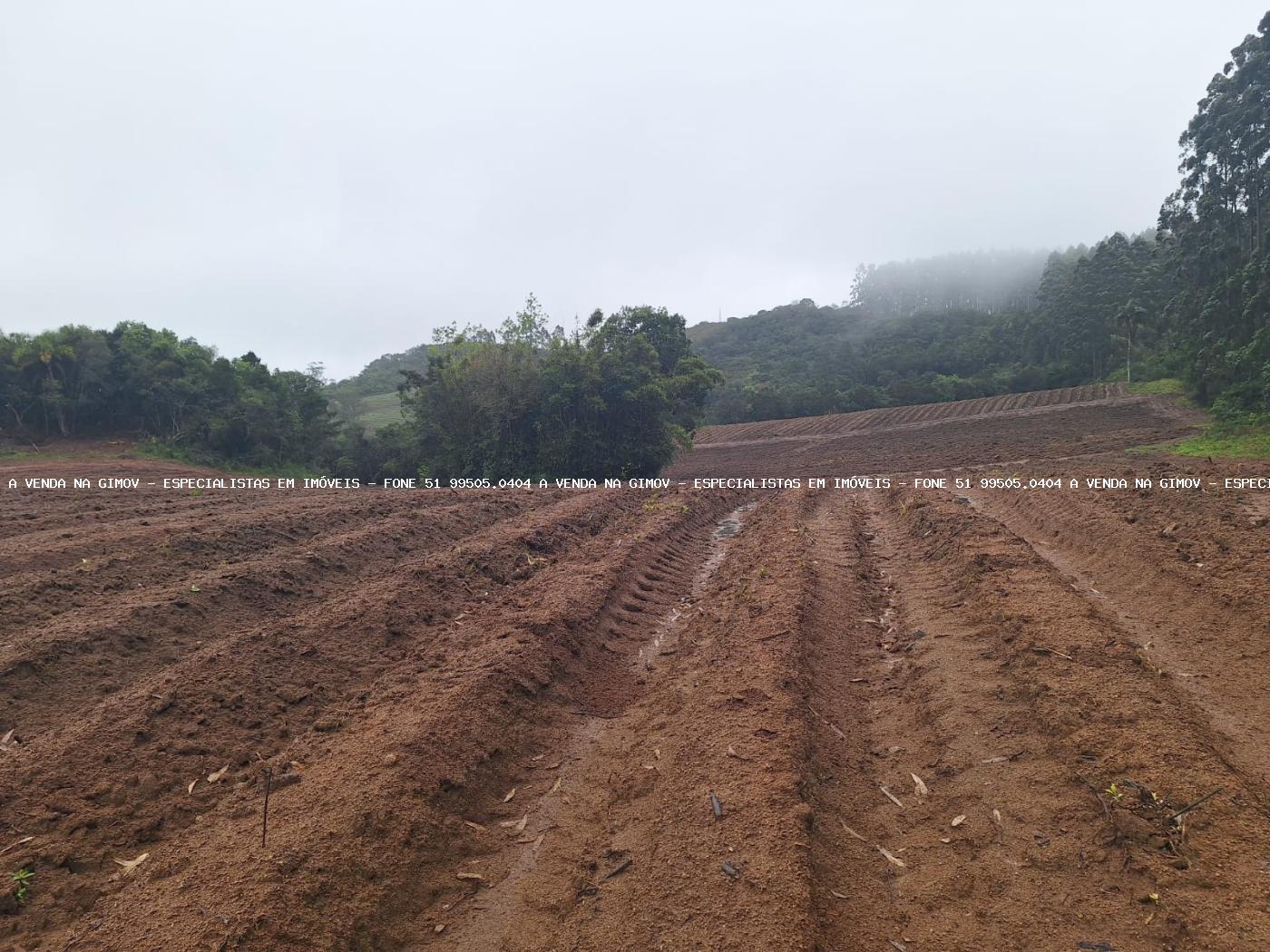 Fazenda à venda com 2 quartos, 141000m² - Foto 33