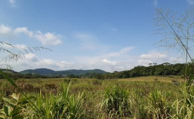 Fazenda à venda com 3 quartos, 110000m² - Foto 19