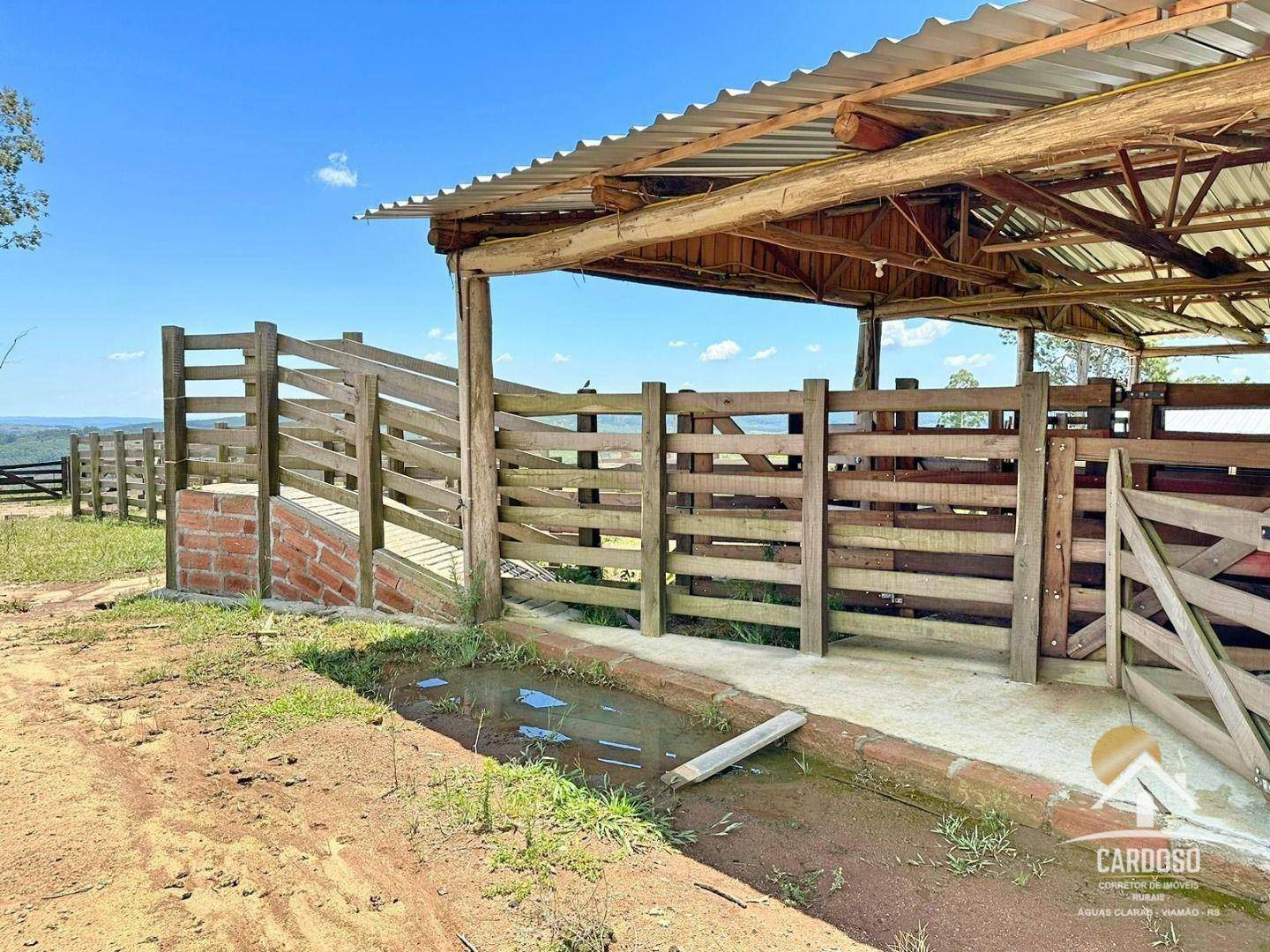 Fazenda à venda com 3 quartos, 1065000M2 - Foto 8