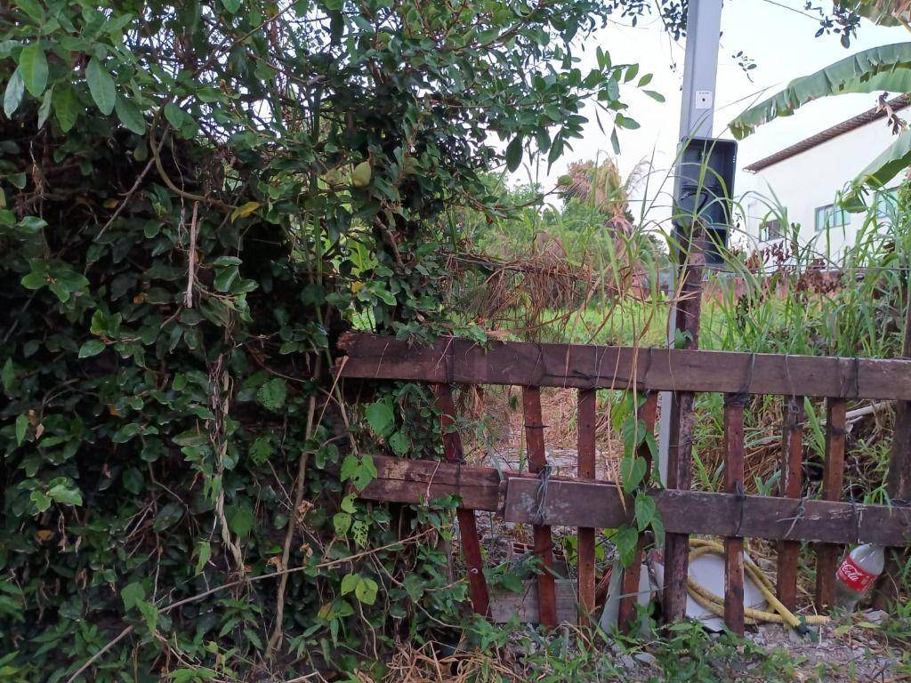 Terreno, 1000 m² - Foto 15