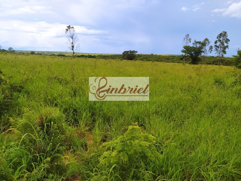 Fazenda à venda, 467m² - Foto 5