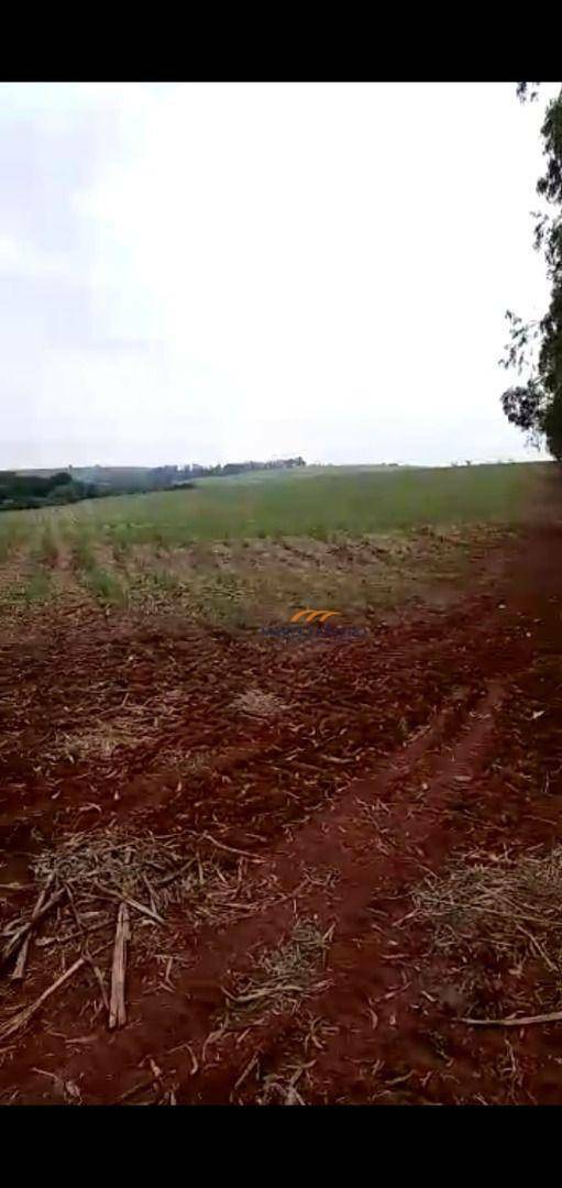 Fazenda à venda, 1718200M2 - Foto 1