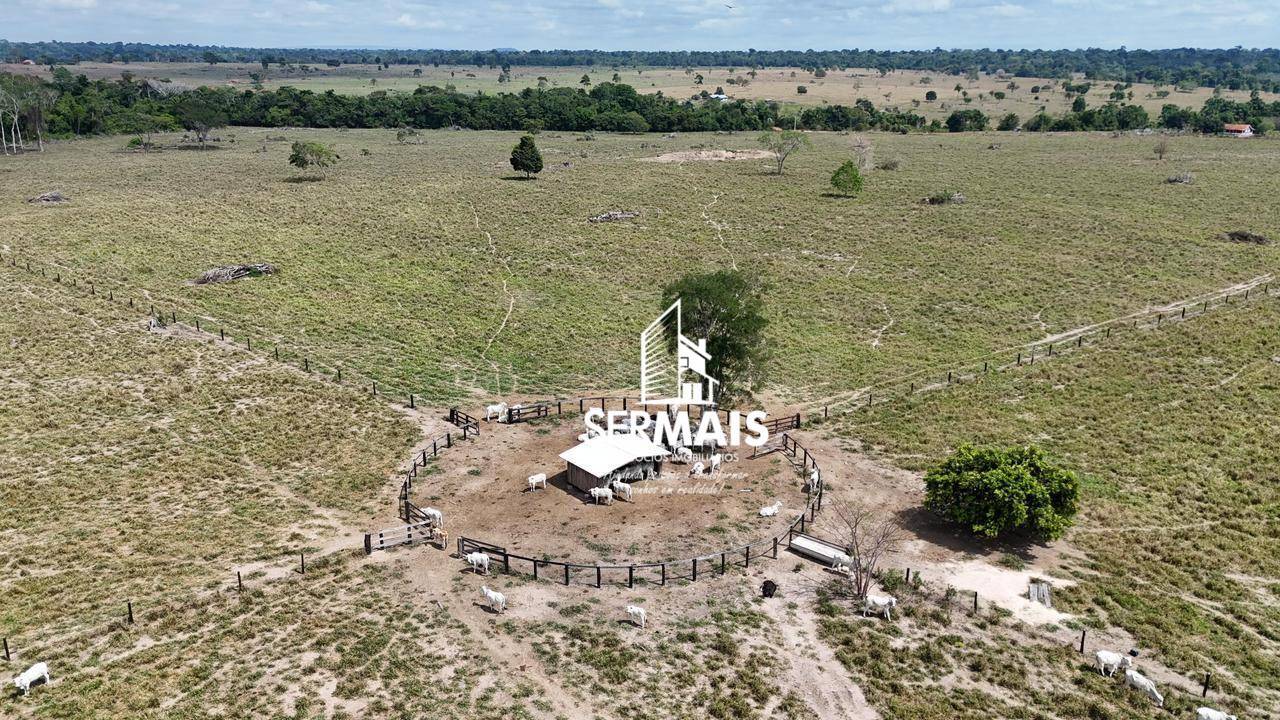 Fazenda-Sítio-Chácara, 542 hectares - Foto 5