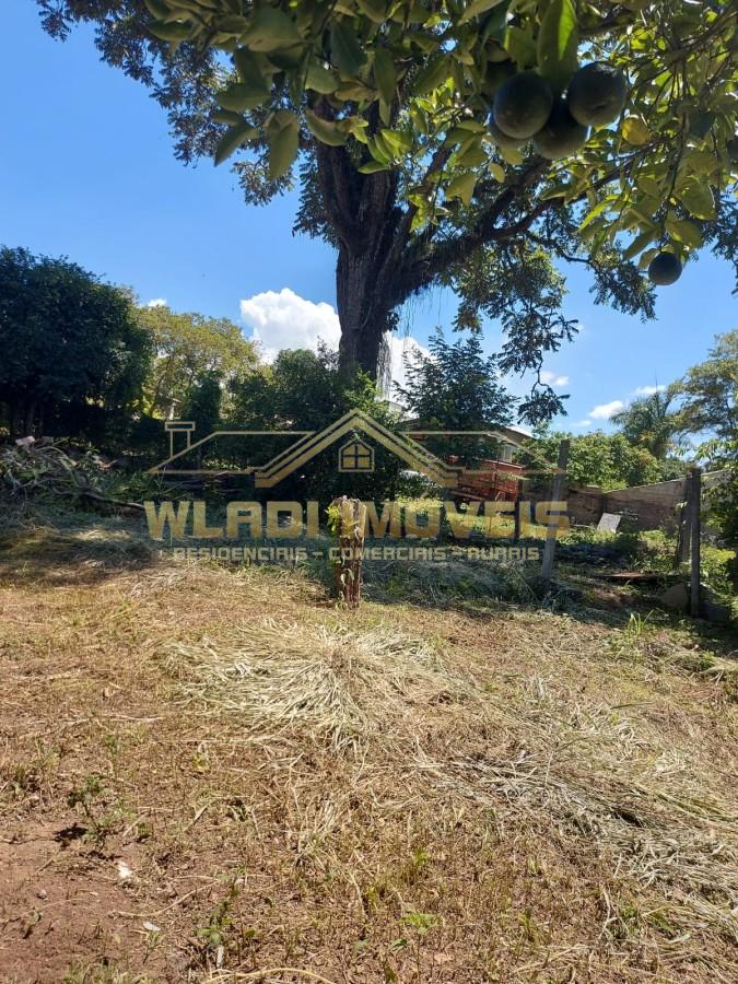 Fazenda, 4000 m² - Foto 5