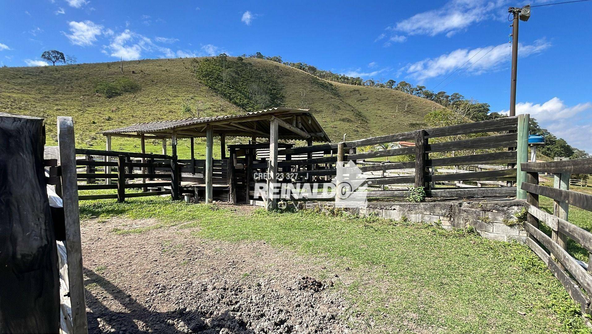 Fazenda à venda com 8 quartos, 900m² - Foto 62