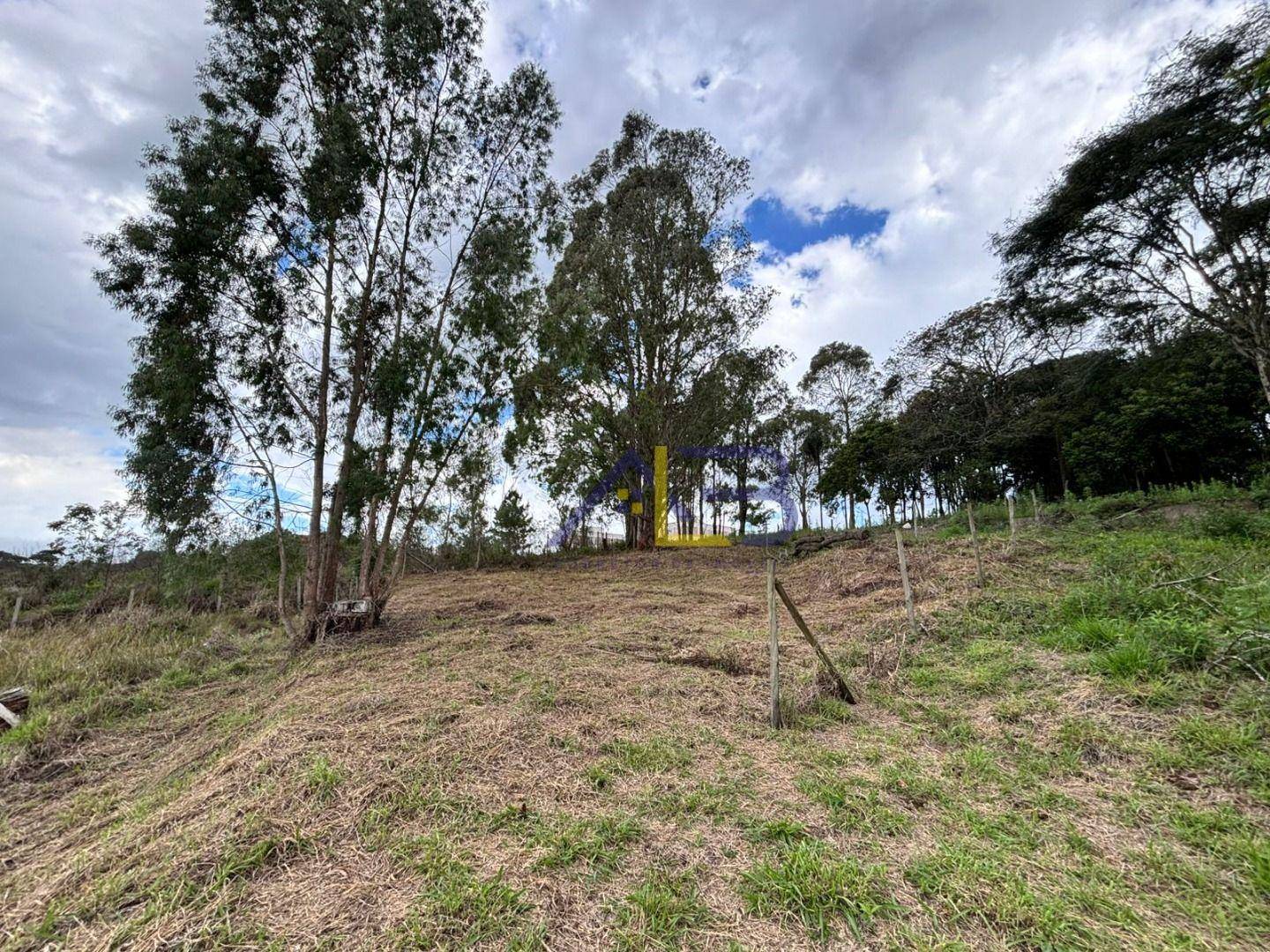 Terreno, 243 m² - Foto 3