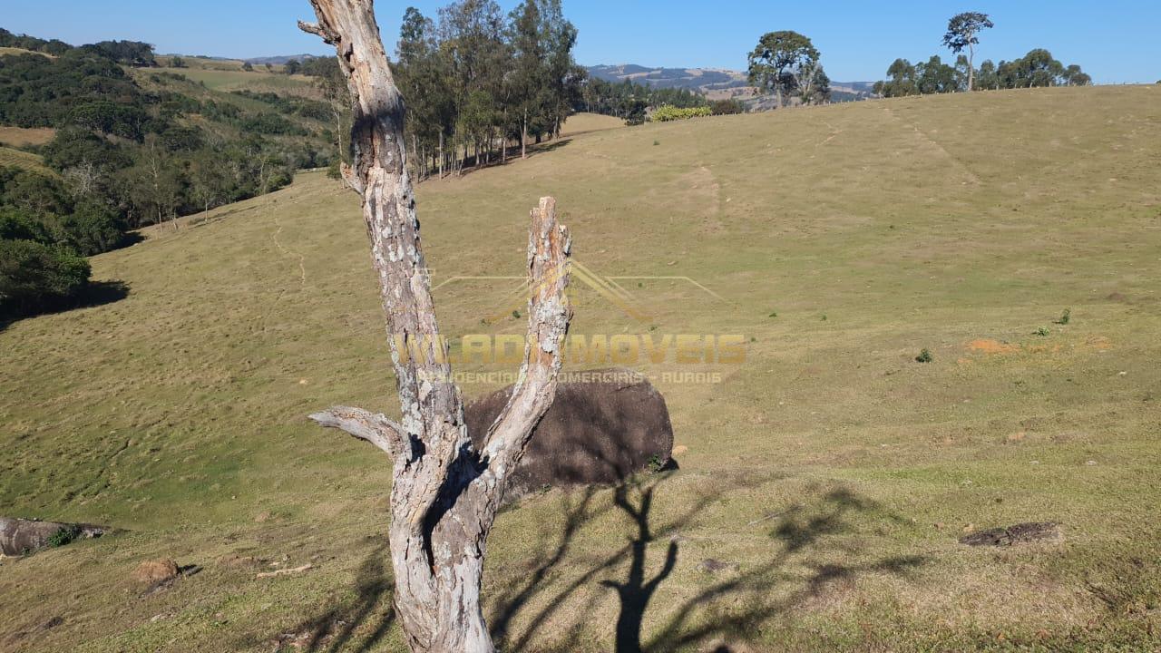 Fazenda à venda, 7m² - Foto 4