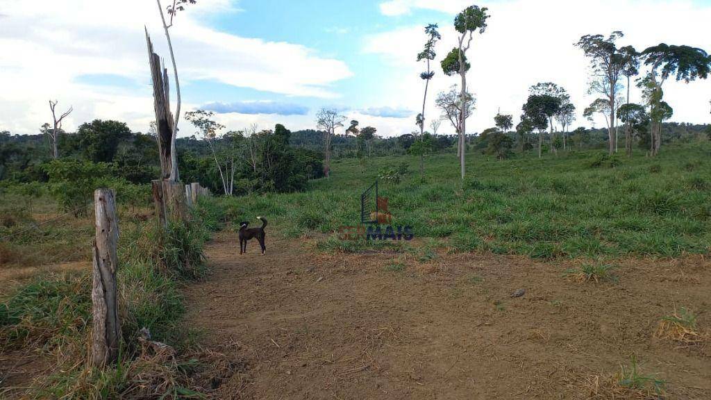 Fazenda à venda com 4 quartos, 6001600M2 - Foto 6