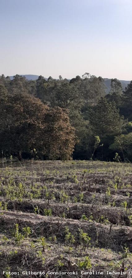 Loteamento e Condomínio à venda, 50000m² - Foto 18