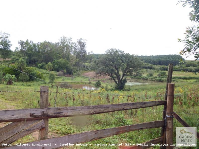 Fazenda à venda com 3 quartos, 60000m² - Foto 29