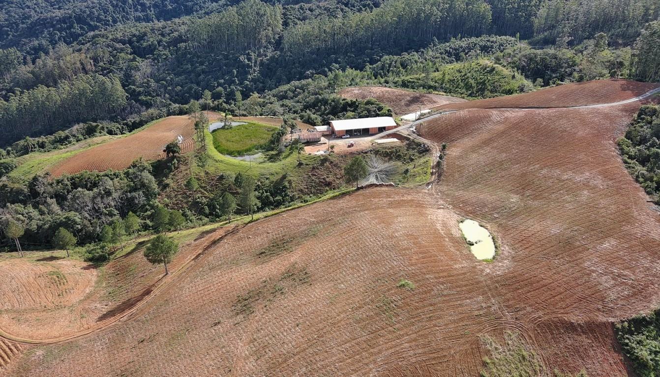 Fazenda à venda com 3 quartos, 260000m² - Foto 4