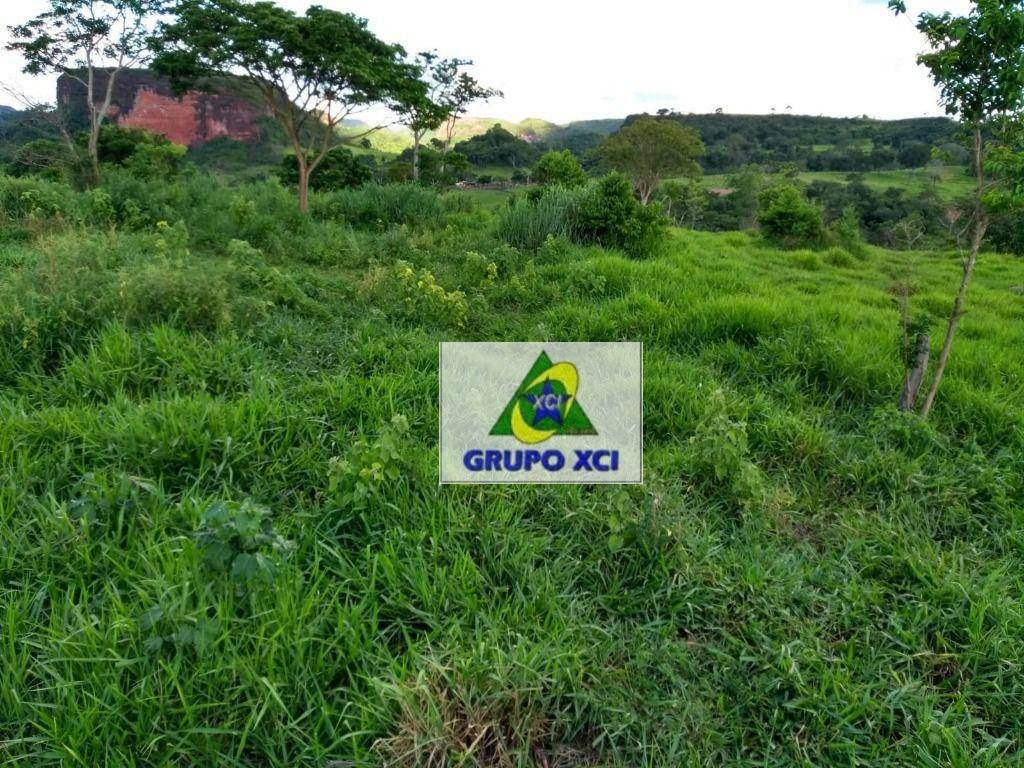 Fazenda à venda com 5 quartos, 60693600M2 - Foto 18