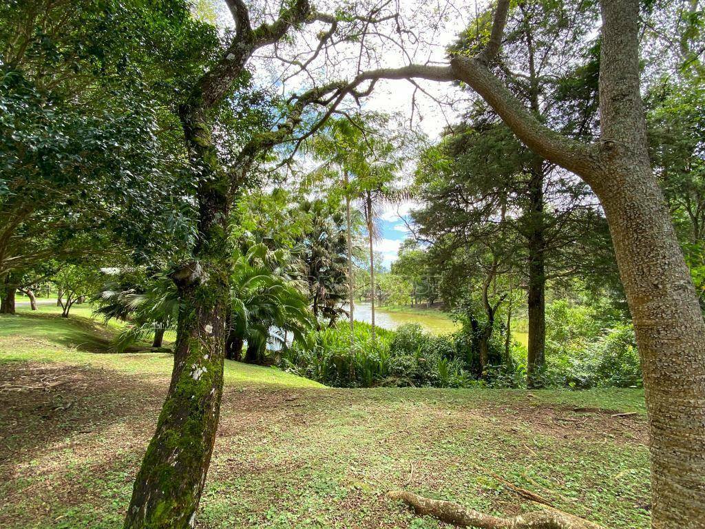 Casa de Condomínio à venda e aluguel com 3 quartos, 250m² - Foto 28